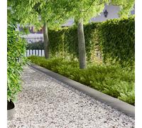 vidaXL Bordura per Prato 30 pz 103 x 20 cm Acciaio Argento
