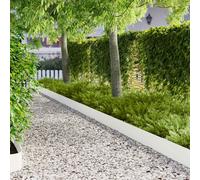 vidaXL Bordura per Prato 30 pcs 103 x 20 cm Acciaio Bianco, Confine Giardino in Acciaio, Bordo Moderno e Flessibile per Sentieri, Barriera Resistente all'Umidità per Giardino
