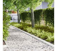 vidaXL Bordura per Prato 50 pz 100 x 0,05 x 15 cm Bianco