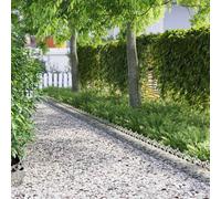 vidaXL Bordure per Prato 10 PCS Argento 103 x 0,05 x 22 cm, Bordatura per Giardini e terrazze, barriera in Metallo Durevole, confini Esterni, divisori paesaggistici, sentieri per Giardini