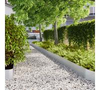 vidaXL Bordure per Prato 10 pz 20x103 cm Acciaio Zincato