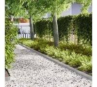 vidaXL Bordure per prato 20 pcs Argento 100 x 0.5 x 15 cm