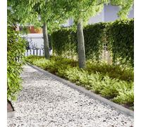 vidaXL Bordure per prato 20 pz 100x0.5x15 cm in acciaio inossidabile