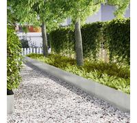 vidaXL Bordure per prato 30 pcs Argento 100 x 0.5 x 30 cm