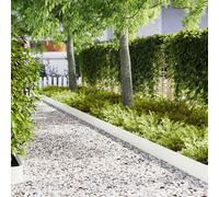 vidaXL Bordure per prato 30 pcs Bianco 100 x 0.5 x 20 cm Acciaio