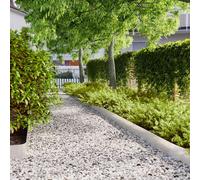 vidaXL Bordure per Prato 30 pz 15x103 cm Acciaio Inossidabile