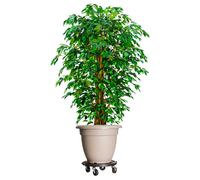 vidaXL Carrelli per Piante con Ruote 2 pz Diametro 40 cm Neri 275 kg