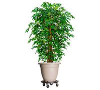 vidaXL Carrelli per Piante con Ruote 3 pz Diametro 40 cm Neri 275 kg