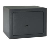 vidaXL Cassa Metallica con Lucchetto Grigio Scuro - 17 x 23 cm. Design resistente per tenere al sicuro i tuoi oggetti. Perfetta per l'ufficio e la camera da letto. Sicurezza per la casa e ideale com