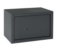 vidaXL Cassaforte con blocco Grigio scuro 31 x 20 x 20 cm Acciaio