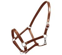 vidaXL Cavezza Cuoio Naturale Regolabile Marrone Cavallo Testiera Misura Full