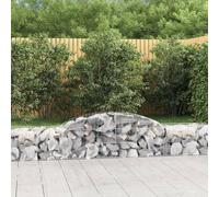 vidaXL Cesti Gabbioni ad Arco 30 pz 300x50x40/60 cm Ferro Zincato
