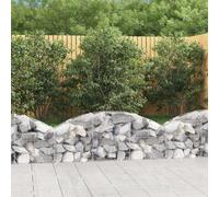 vidaXL Cesto Gabbione ad Arco 150x30x40/60 cm Ferro Zincato