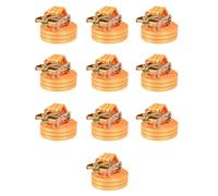vidaXL Cinghie d'Ancoraggio 10 pz a Cricchetto 1 T 6mx38mm Arancione