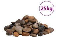 vidaXL Ciottoli Levigati 25 kg Colore Misto 2-5 cm