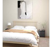 vidaXL Comodini 2 pz Grigi 40x30,5x40 cm in Legno Massello di Pino