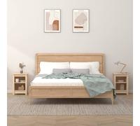 vidaXL Comodini 2 pz Grigi 40x35x55 cm in Legno Massello di Pino