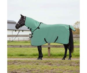 vidaXL Coperta per Cavalli Verde speciale 85 cm Poliestere