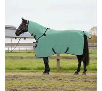 vidaXL Coperta per Cavalli Verde speciale Poliestere