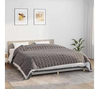 VIDAXL - Coperta Ponderata Grigia 220x260 cm 11 kg Tessuto