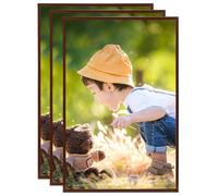 vidaXL Cornici Foto Collage 3pz a Muro o Tavolo Bronzo 59,4x84cm MDF