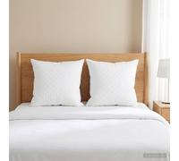 vidaXL Cuscino FULDA 2 pz 65 x 65 cm 100% piuma d’oca e piumino Bianco