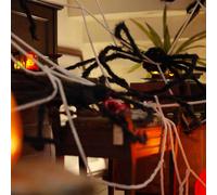 vidaXL Decorazione di Halloween con ragni e ragnatele 2 pcs 200 cm