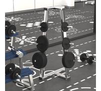 vidaXL Disco per Pesi 40 kg in Ghisa