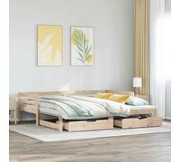 vidaXL Divano Letto Estraibile con Cassetti senza Materasso 90x190 cm