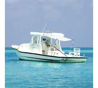 vidaXL Estensione Tendalino a T Bianco 170x170x(113-182,5) cm
