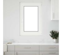 vidaXL Finestra per Seminterrato RISOR 60x90cm Anta Ribalta DIN Destra