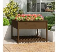 vidaXL Fioriera con Mensola Ambra 111,5x111,5x81cm Legno Massello Pino