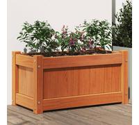 vidaXL Fioriera Giardino Marrone Cera 60x31x31 cm Legno Massello Pino