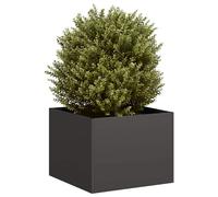 vidaXL Fioriera Nera 40x40x30 cm in Acciaio