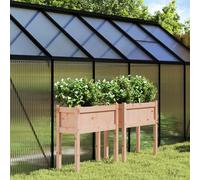 vidaXL Fioriere da Giardino 2 pz con Gambe Legno Massello di Douglas