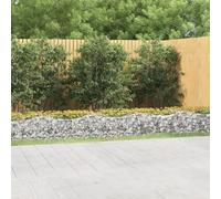 vidaXL Gabbione ad Arco con Letto Rialzato 800x50x50 cm Ferro Zincato