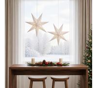 vidaXL Illuminazione Natalizia RAAHE 2 pz 10 LED Bianco caldo