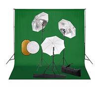 vidaXL Kit Studio Foto con Lampade Sfondo e Riflettore Kit di Illuminazione Fotografia Luce Studio Sistema di Sfondo Interno