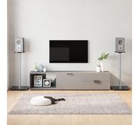 vidaXL Lautsprecher-Ständer 2 Stk. Schwarz & Silbern Hartglas 1 Säule