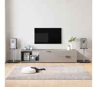 vidaXL Lautsprecher-Ständer 2 Stk. Schwarz & Silbern Hartglas 1 Säule
