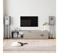 vidaXL Lautsprecher-Ständer 2 Stk. Schwarz & Silbern Hartglas 4 Säulen