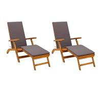 vidaXL Lettino prendisole reclinabile e pieghevole 2 pcs Grigio, Sdraio regolabile, rustica e pieghevole, per giardino, comoda, salvaspazio, perfetta vicino alla piscina