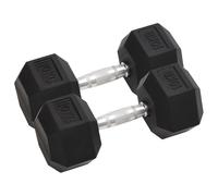 vidaXL Manubri 2 pz 20 kg Ghisa