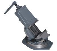 vidaXL Morsa Inclinabile a 2 Assi 100 mm