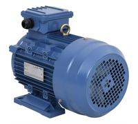 vidaXL Motore Elettrico Trifase 2 Poli 4kW/5,5HP 2840 RPM Alluminio Asincrono