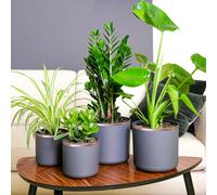 vidaXL Nastro di rame doppio lato 6 pezzi 6 pcs Rame 2000 x 1 cm