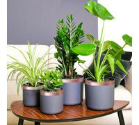 vidaXL Nastro di rame doppio lato 6 pezzi 6 pcs Rame 2000 x 3 cm
