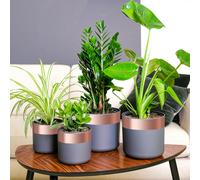 vidaXL Nastro di rame doppio lato 6 pezzi 6 pcs Rame 2000 x 7 cm