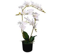 vidaXL Orchidea Artificiale con Vaso 65 cm Bianca