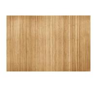 vidaXL Pannello Divisore per la Stanza in Bambù Naturale 250x165 cm
